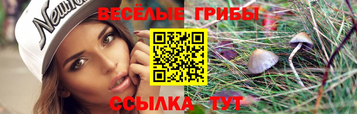 Псилоцибиновые грибы GOLDEN TEACHER Пенза