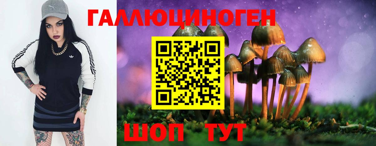 Пенза  Псилоцибиновые грибы Cubensis  Вход с VPN 