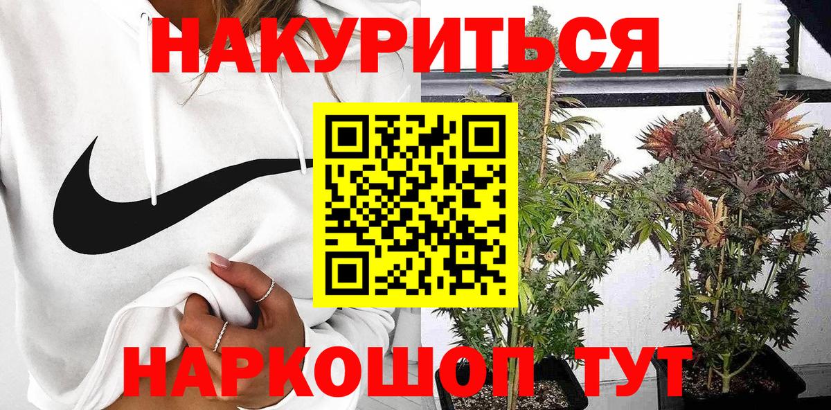 МАРИХУАНА VHQ  Вход с VPN  Пенза  Каннабис ГИДРОПОН  Конопля VHQ 