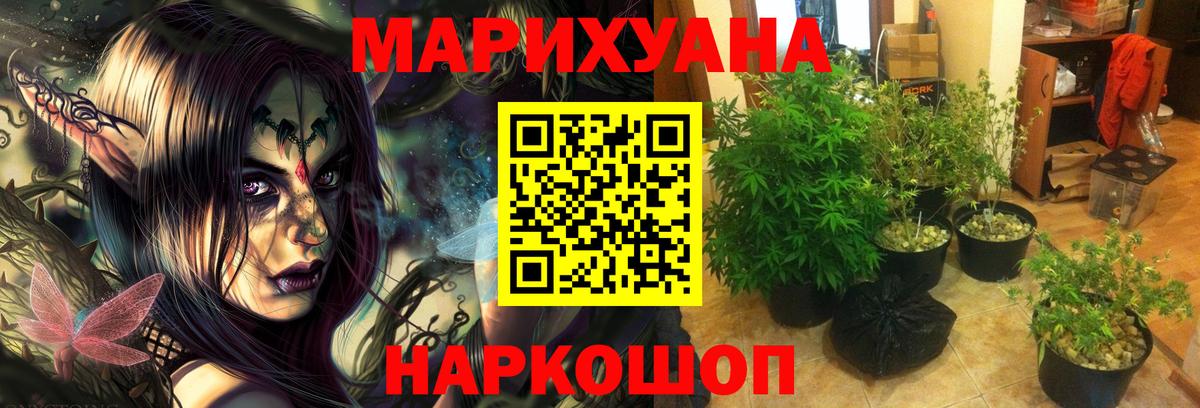 Каннабис OG Kush Пенза